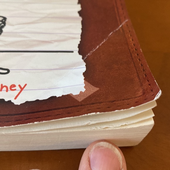 Diary of a wimpy kid book - Picture 4 of 5